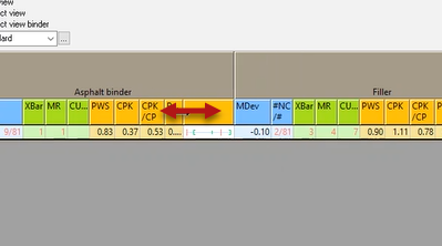 Customize your view software example